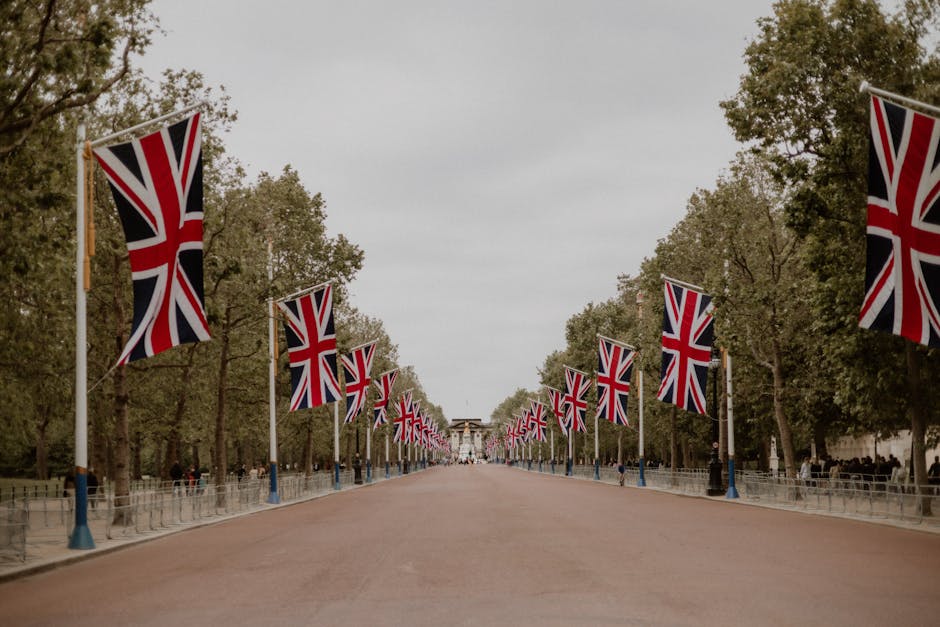 A road lined with british flags and trees